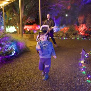 Enchanted Evening Stroll
