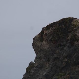 Rocky Coastal Cliff Draped in Wild Blooms