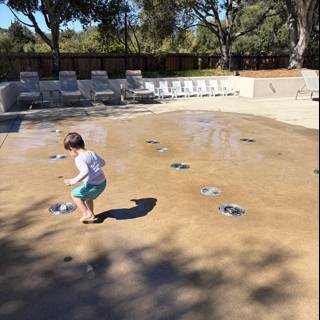 Joyful Splash on a Sunny Day