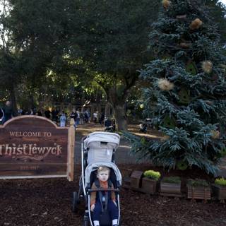 A Stroll Through Thistlewyck