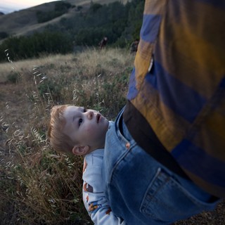 Small Boy Gazes Up at Parent on Hillside at Dusk