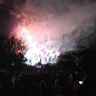 Spectacular Disneyland Fireworks Show