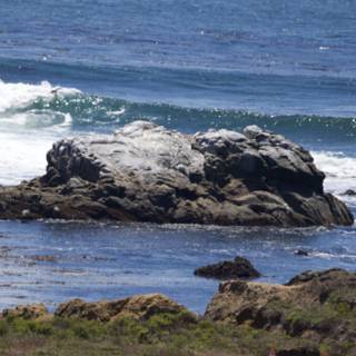 Coastal Serenity in Cayucos