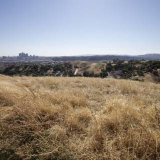 Cityscape from the Dry Grass Hill