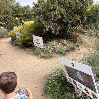Strolling Through Nature's Art Gallery