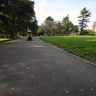 Peaceful Park Path with Parent and Stroller