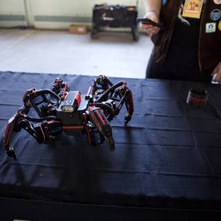 The Future is Now: Robotic Wonders