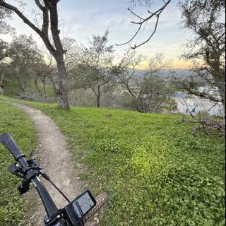 Trailside Tranquility