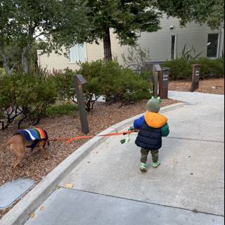 Autumn Stroll in Carmel