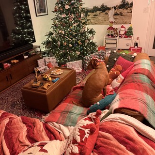 Cozy Christmas Morning in a Festive Living Room