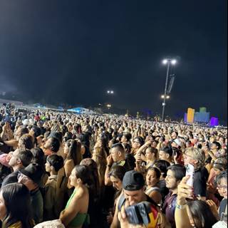 Vibrant Nights at the Polo Grounds