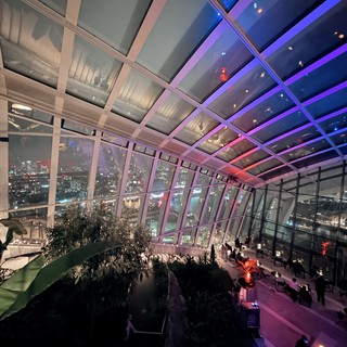 Sky Garden's Illuminated Terrace Overlooking London at Night