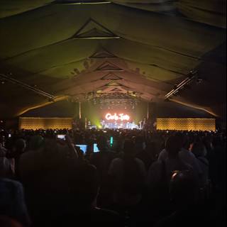 Electric Vibes Under Desert Skies