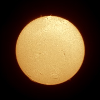 Hydrogen-Alpha Sun in Full Disk Detail, July 4 2026