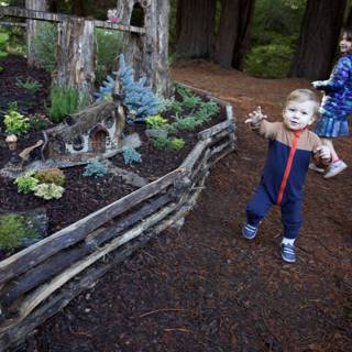 Woodland Wanderers