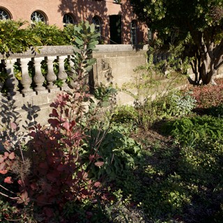 University or college campus