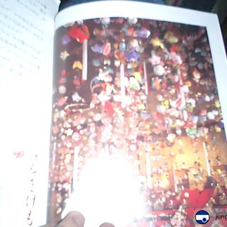 Chinese Temple Book