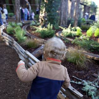 historic-garden-botanical-garden