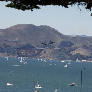Fleet Week Spectacle at San Francisco Bay