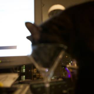 Curious Cat and Wine Glass