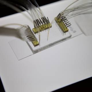 Micro Bio Chip Wiring