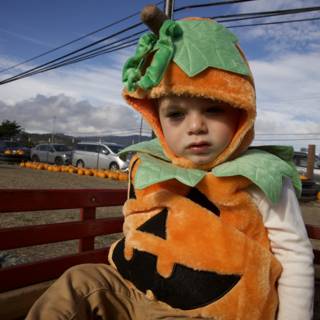 Pumpkin Patch Adventures with Wesley