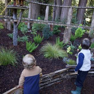 Exploring Nature's Playground