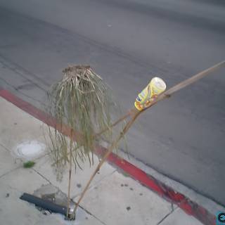 Abandoned Broom and Stick