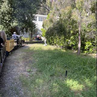 Train Ride through Woodland Grove at San Francisco Zoo