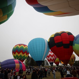 Colorful Hot Air Balloons Fill the Sky at Festival