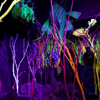 psychedelic-surreal-whimsical-dreamlike