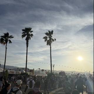 Golden Hour Gathering