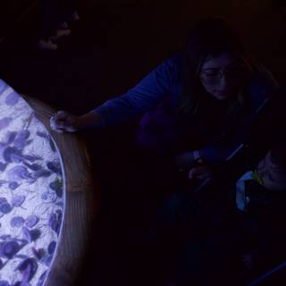 Underwater Wonders at Monterey Bay Aquarium