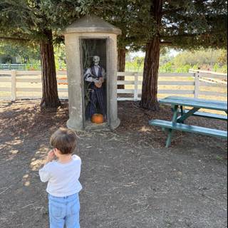 Curious Encounters in the Pumpkin Patch
