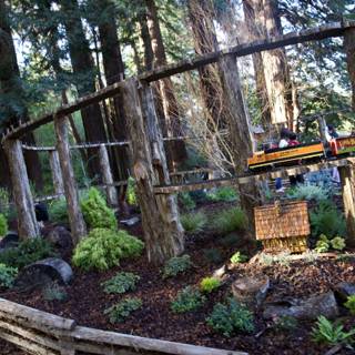 Enchanted Woodland Railway