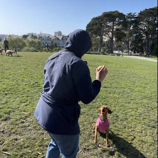 Playing Fetch in Alamo Square