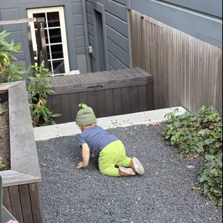 Exploring the Urban Jungle