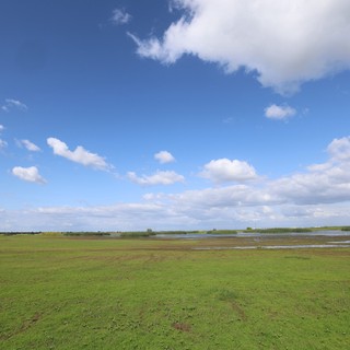 Wetlands Expanse with Flooded Fields Under Spring Sky