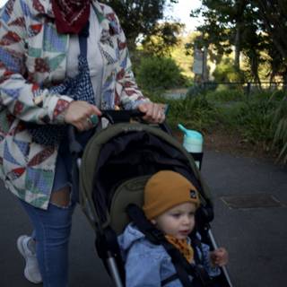 A Stroll in the Park - SF Zoo, November 2023