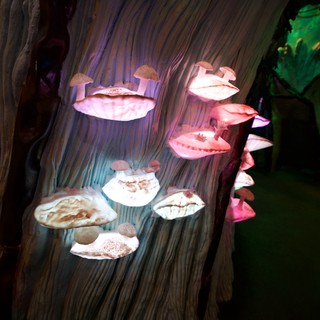 Illuminated Mushroom Sculptures in Fantasy Forest Display