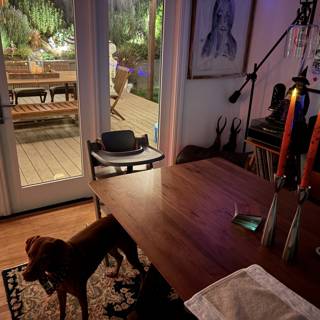 Cozy Corners and Canine Companions