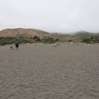 Toddler Plays on Foggy California Coastal Beach