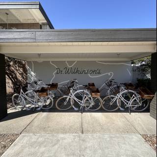 Bikes Ready for Adventure