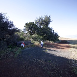 Hikers Exploring a Sunlit Trail at Mount Diablo