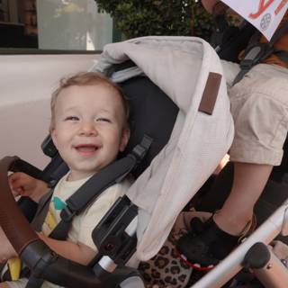 Joyful Journey: An Afternoon Stroll