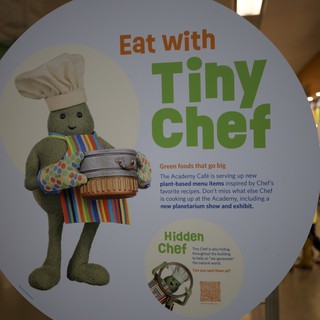 Tiny Chef Educational Display at Academy Museum