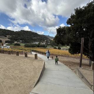 Strolling Through Carmel's Countryside