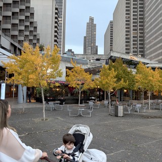 Urban Plaza: Parent and Child Among Modern Towers