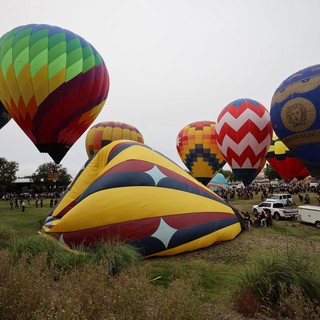Colorful Hot Air Balloons Fill the Sky at Classic