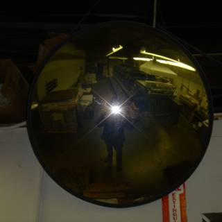 Reflection in the Sphere